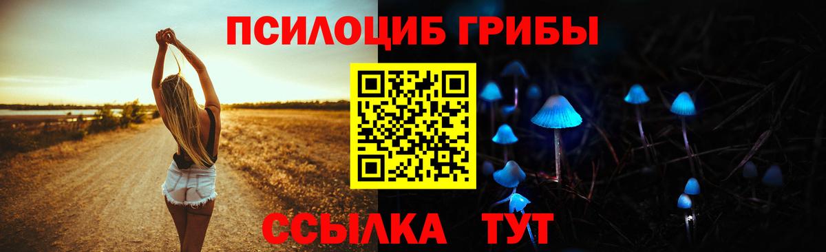 Шелехов  Галлюциногенные грибы MAGIC MUSHROOMS  Вход с VPN  Псилоцибиновые грибы прущие грибы 